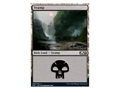Swamp