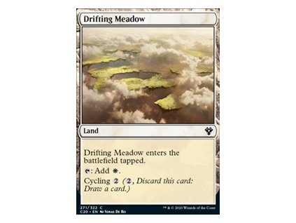 Drifting Meadow (Foil NE, Stav Near Mint)