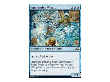 Apprentice Wizard (Foil ANO, Stav Near Mint)