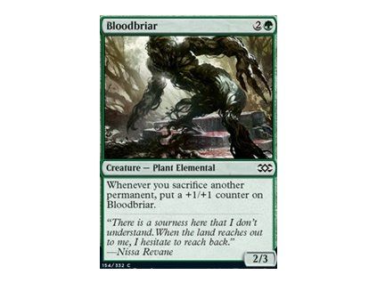 Bloodbriar