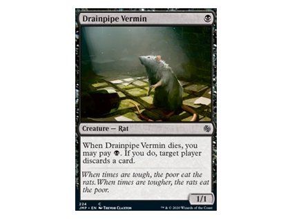 Drainpipe Vermin