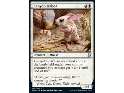 Canyon Jerboa