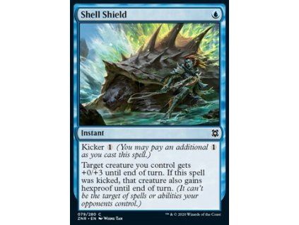 Shell Shield