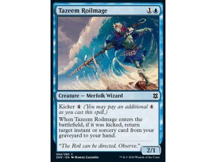 Tazeem Roilmage