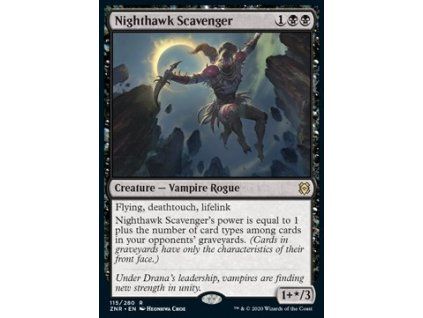 Nighthawk Scavenger
