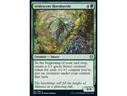 Iridescent Hornbeetle
