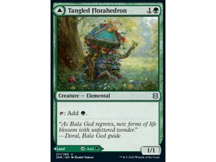 Tangled Florahedron