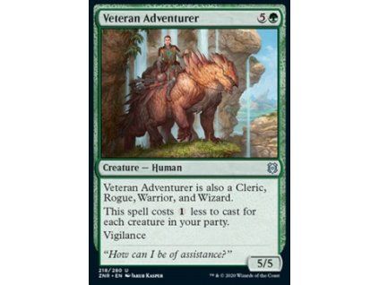 Veteran Adventurer