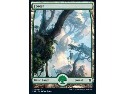 Forest - Full Art