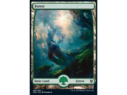 Forest - Full Art