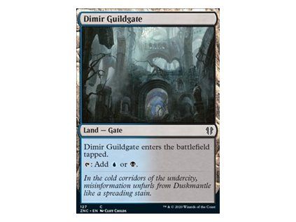 Dimir Guildgate