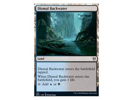 Dismal Backwater