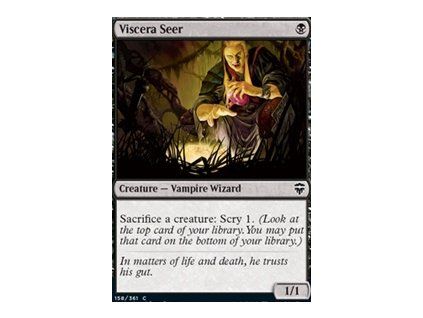 Viscera Seer