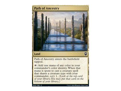 Path of Ancestry