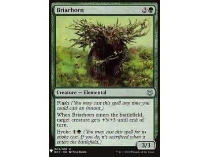 Briarhorn