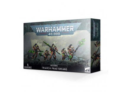 Warhammer 40,000 — Necrons Triarch Praetorians