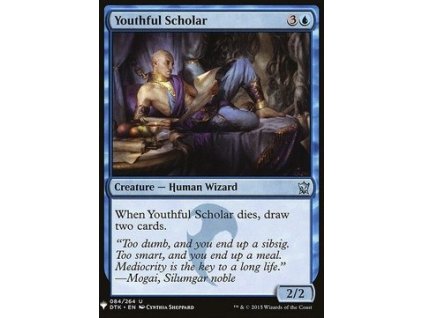 234902 youthful scholar