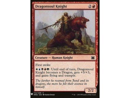 Dragonsoul Knight