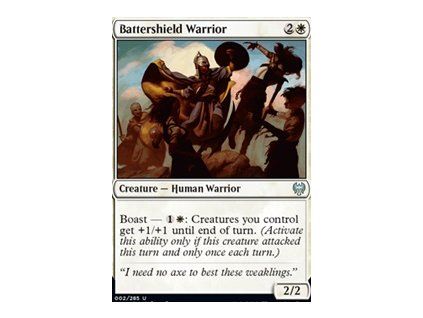 Battershield Warrior