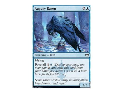 Augury Raven