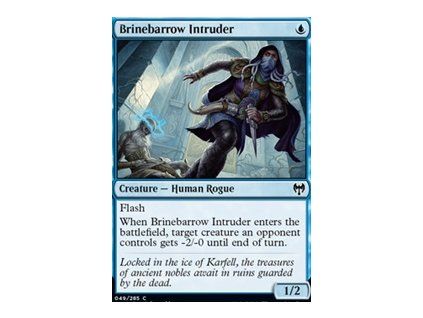 Brinebarrow Intruder
