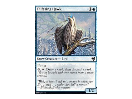 Pilfering Hawk