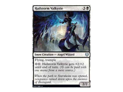 Hailstorm Valkyrie