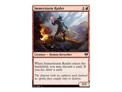 Immersturm Raider
