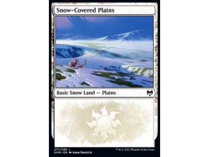 Snow-Covered Plains