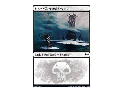 Snow-Covered Swamp