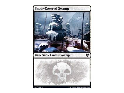 Snow-Covered Swamp