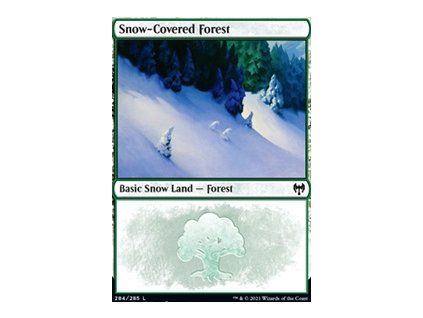 Snow-Covered Forest