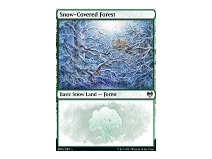 Snow-Covered Forest