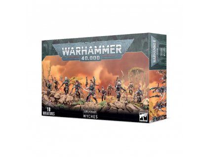 Warhammer 40,000 — Drukhari Wyches