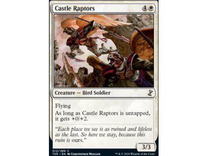 Castle Raptors