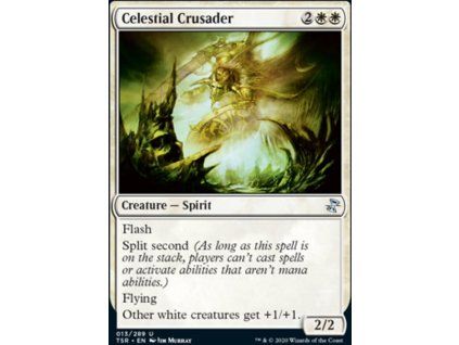 Celestial Crusader