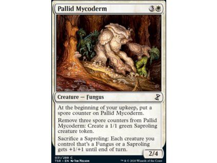 Pallid Mycoderm