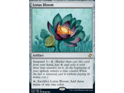 Lotus Bloom