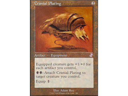 Cranial Plating