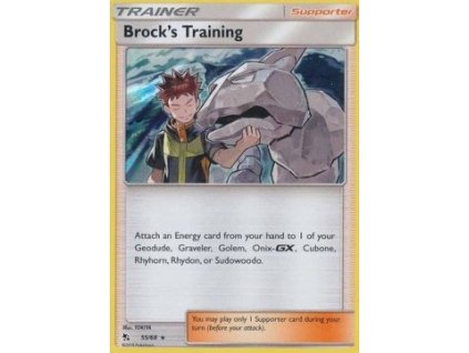 Brock's Training