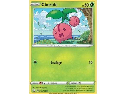 Cherubi