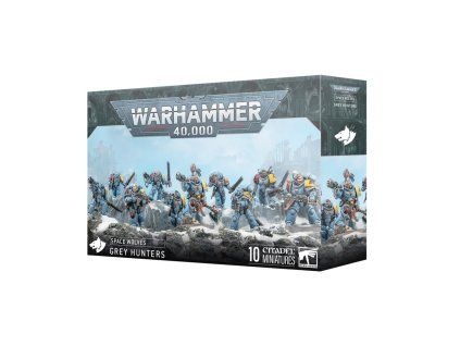 Warhammer 40,000 —  Space Wolves Grey Hunters