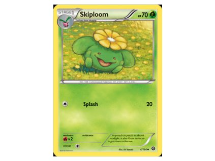 Skiploom