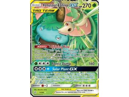 Venusaur & Snivy GX