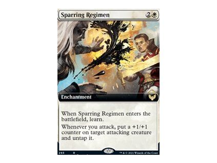 Sparring Regimen - EXTRA