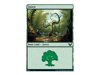 Forest - EXTRA
