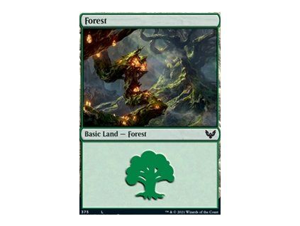 Forest - EXTRA