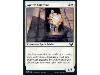 Ageless Guardian