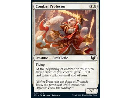 Combat Professor
