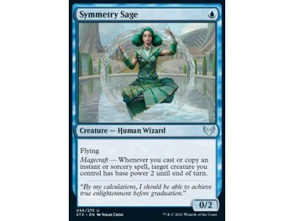 Symmetry Sage